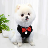 Elegant Bow Dog Collars Necktie