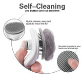 Hair Brush Comb Grooming And Care