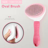 Hair Brush Comb Grooming And Care