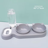 Bowl Automatic Feeder 3-in-1